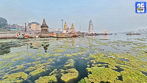 Chandrabhaga River Pollution Raises Alarm for Aquatic Life and Pilgrims