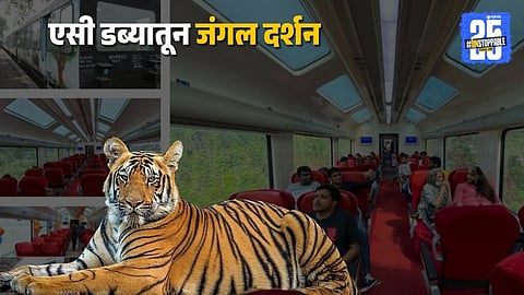 vistadome jungle safari tiger reserve dudhwa.jpg