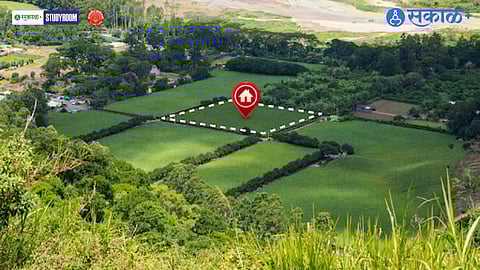 displacement and rehabilitation policy,compensation and rehabilitation India