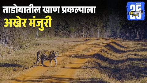 Tadoba Tiger Reserve