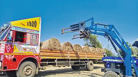 ऊस पाचटापासून पर्यावरण संवर्धन