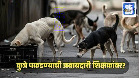 Teachers Assigned Dog Catching Duty