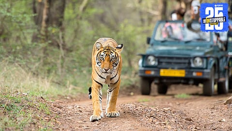 Tiger Reserve New Rules 