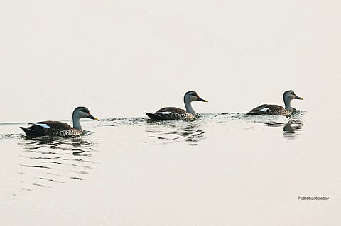 दौंड तालुका पर्यटकांना खुणावतोय