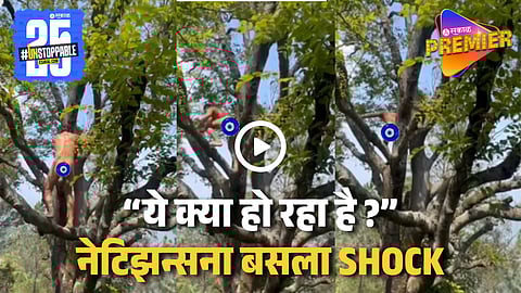 Bollywood Actor Naked Video Went Viral