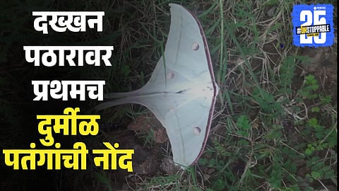 Maharashtra Biodiversity 