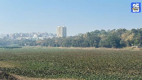 PMC Announces Cleaning Drive for Katraj, Jambhulwadi, and Pashan Lakes