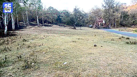 Kalbhairav Hill showing reduced green cover due to tree cutting and neglect.