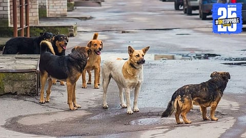 Telangana Election Promise Horror