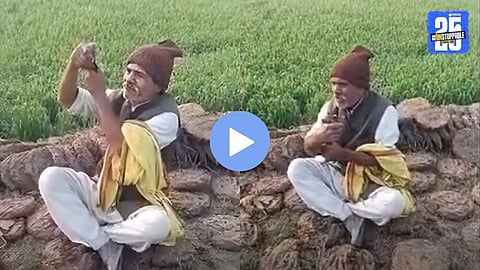 A cobra snake seen during a dangerous stunt in Uttar Pradesh, where a man was fatally bitten multiple times, highlighting the risks of handling venomous snakes.