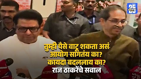 Raj Thackeray Criticises EC On Campaign And Voting Process