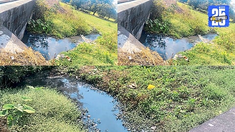 Darna River Pollution 