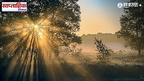 Surya Upasana and Vitamin D synthesis 