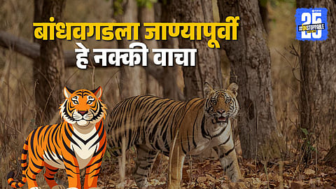 Bandhavgarh National Park