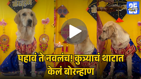 DOG’S BORNHAN CELEBRATION VIRAL VIDEO