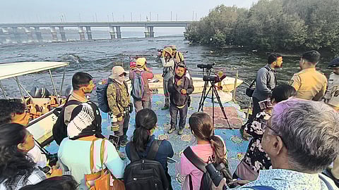 मुंबईत आशियाई जलपक्षांची गणना