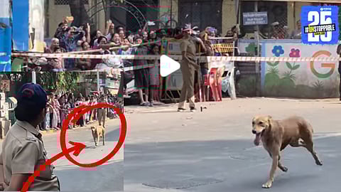 Viral Video Dog Interrupts Pune Grand Tour 2026