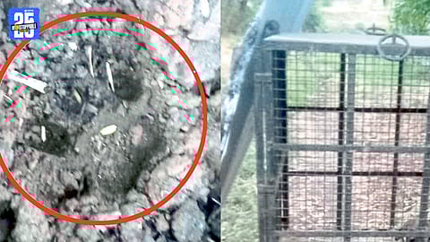 Farmers in Hasurwadi keeping night vigil amid suspected leopard movement.