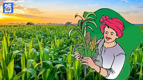 Farmers visiting service centers for AgriStack registration in Kolhapur.