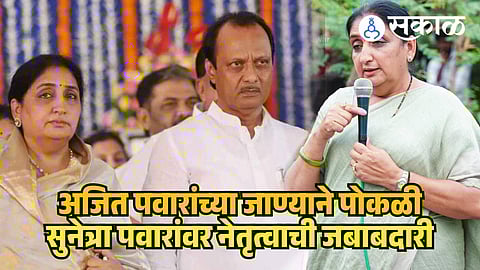 Sunetra Pawar Political Journey