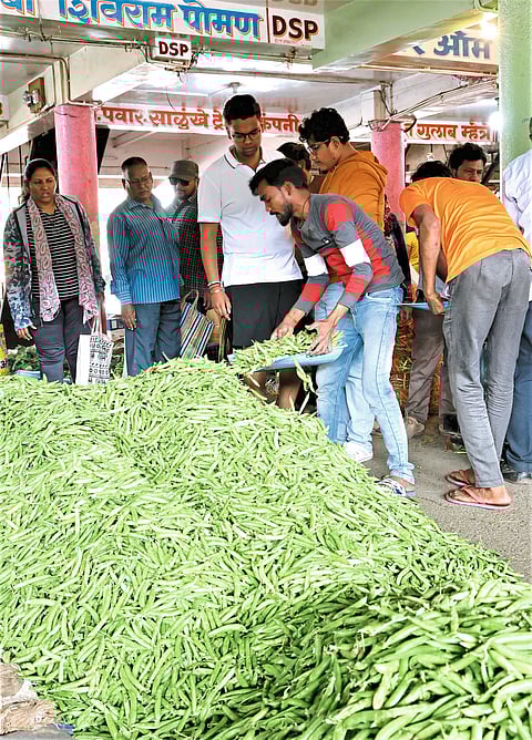 टोमॅटो, शिमला, काकडी, फ्लॉवरच्या भावात घट