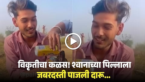 Youth Force Alcohol on Dog Puppy