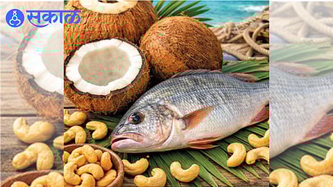 Cashew plantations and fisheries in Konkan set to benefit from Union Budget provisions.