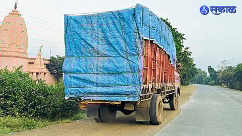 Illegal Tree Cutting