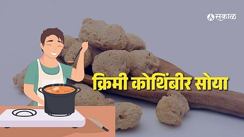 Creamy Coriander Soya Recipe: घरच्या घरी बनवा क्रिमी कोथिंबीर सोया, सर्वजण करतील कौतुक, लगेच नोट करा रेसिपी