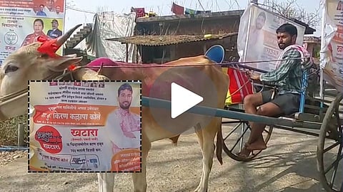 Unique Bullock Cart Campaign in Chandgad Panchayat Samiti Election