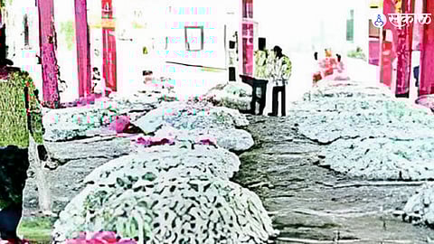 Beed’s Sericulture Sector Shines with ₹1 Lakh Subsidy Increase