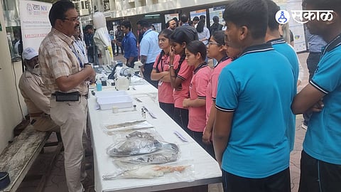 National Institute of Virology Pune student virus exhibition