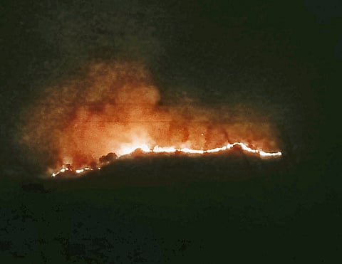 तारळे वणवा