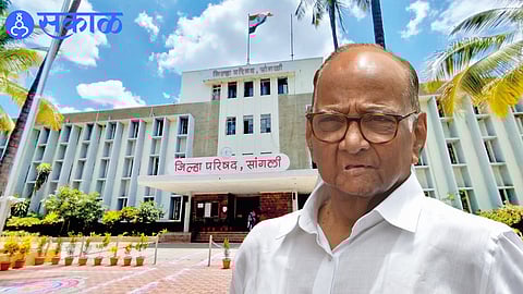 Leaders and party workers campaigning