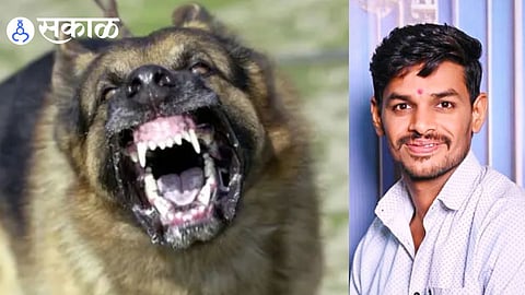  Dog Bite in Pune District