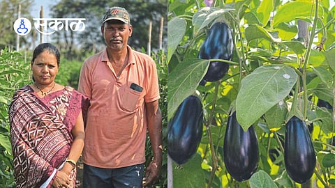 Farmer Success Story