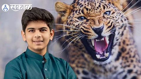 Leopard Attack in NCP Leader’s Son Adhiraj Patil