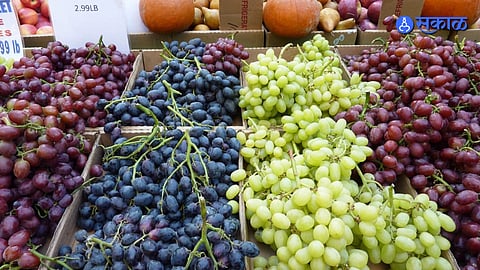 Grapes Market