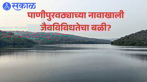 Dhamapur Lake, the primary water source