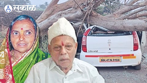 Fatal Tree Fall Accident in Walwa Taluka