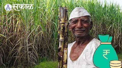 Sugarcane loaded trucks at a sugar mill