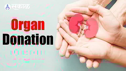 organ donation
