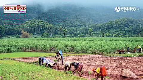 Women Farmers Contribution