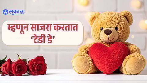 Why Teddy Day Is Celebrated | History and Significance Exaplained
