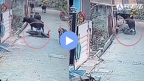 A CCTV screenshot captures a buffalo accidentally dragging a parked motorcycle across the road, creating a hilarious viral moment on social media.