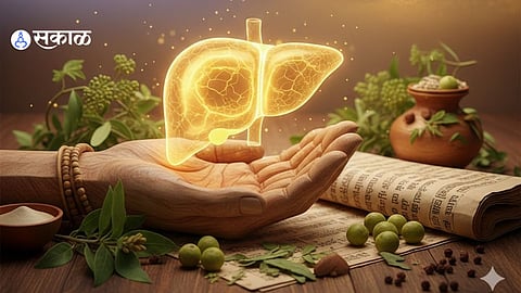 From Fatty Liver to Cirrhosis: How Ayurveda Supports Liver Health