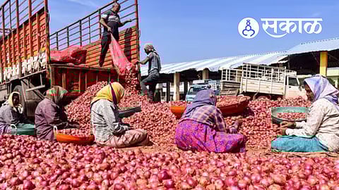 Onion Price Crash