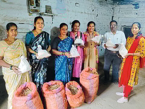 चिरनेरमधील महिलांचा अळंबी शेतीचा प्रयोग यशस्वी