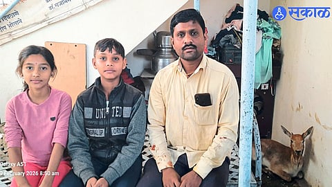 Quick Thinking Prevents Tragedy as Deer Saved from Dog Pack