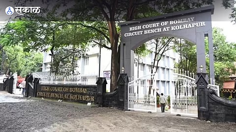 protection after rising wildlife attacks